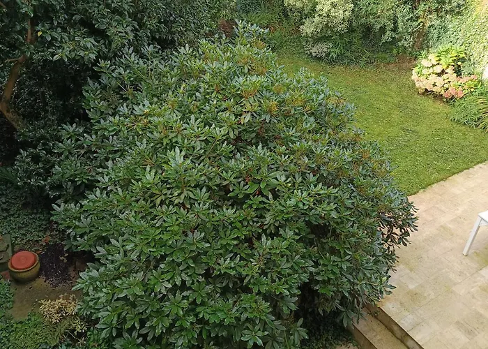 Vakantiehuis Grande Maison De Avec Jardin - Baie Du Mont St Michel *